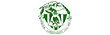 head.png